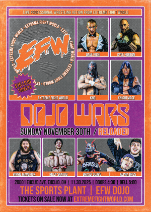 🎟️Dojo Wars: ReLoaded 1 - Front Row Ticket